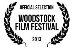 visitorwoodstockfestivalgraphics